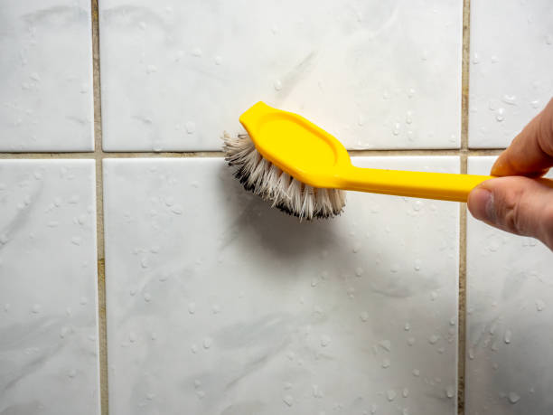 Best Commercial Mold Remediation in Golden Valley, MN