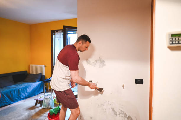 Best Mold Remediation for Specific Building Types in Golden Valley, MN